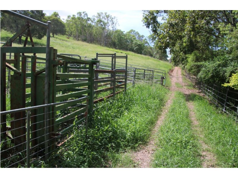 829 McIntosh Creek Road, Mcintosh Creek QLD 4570