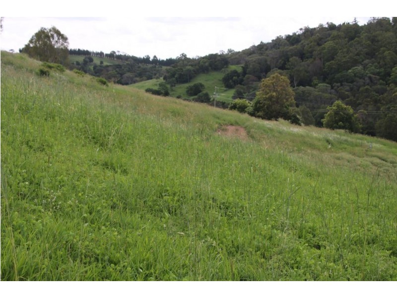 829 McIntosh Creek Road, Mcintosh Creek QLD 4570