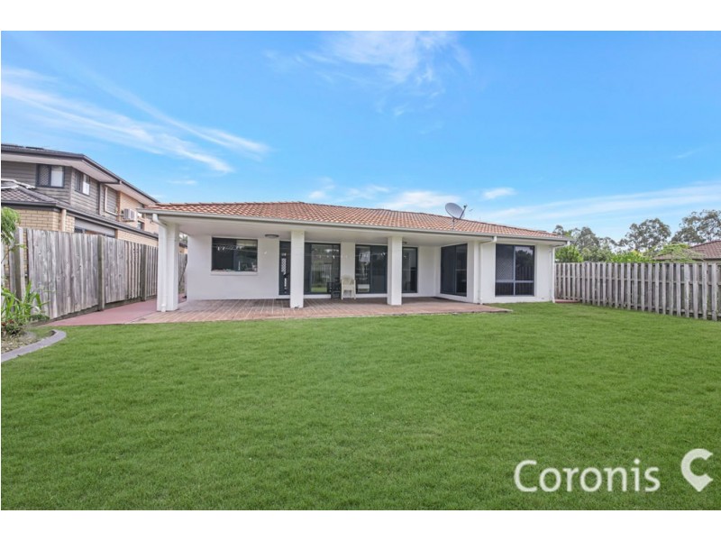 13 Macaranga Crescent, Carseldine QLD 4034
