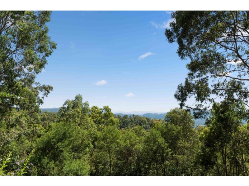 1386 Mt Nebo Road, Mount Nebo QLD 4520
