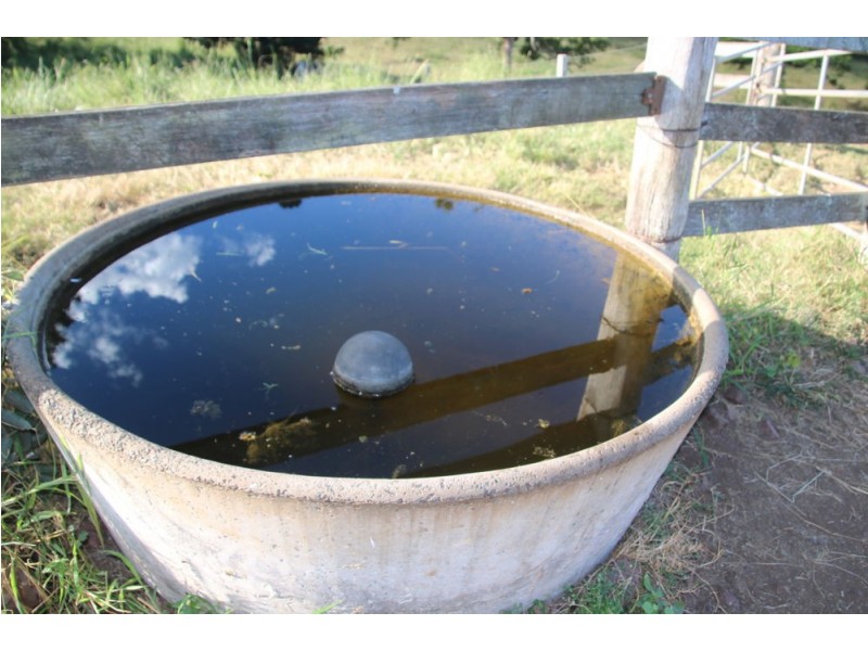 762 Mooloo Rd, Mooloo QLD 4570