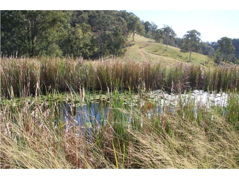 762 Mooloo Rd, Mooloo QLD 4570