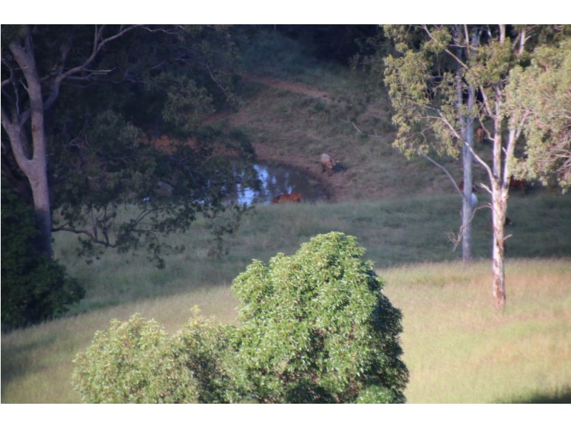 762 Mooloo Rd, Mooloo QLD 4570