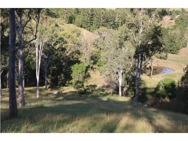 762 Mooloo Rd, Mooloo QLD 4570