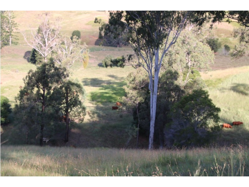 762 Mooloo Rd, Mooloo QLD 4570