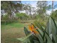 8 Lyndon Drive, Tamaree QLD 4570
