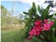 8 Lyndon Drive, Tamaree QLD 4570