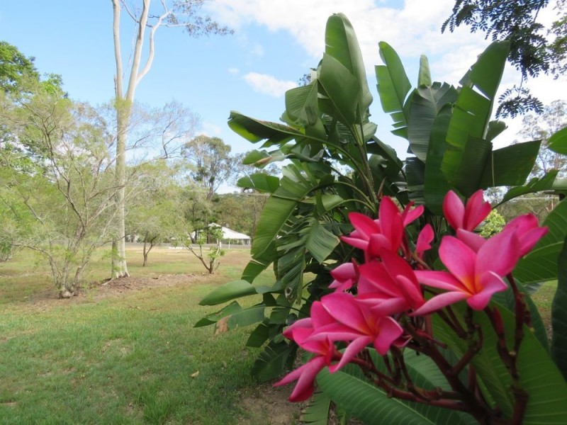 8 Lyndon Drive, Tamaree QLD 4570