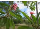 8 Lyndon Drive, Tamaree QLD 4570