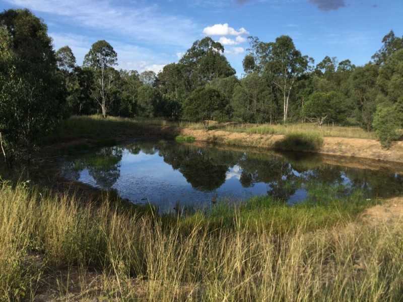 880 Glastonbury Road, Glastonbury QLD 4570