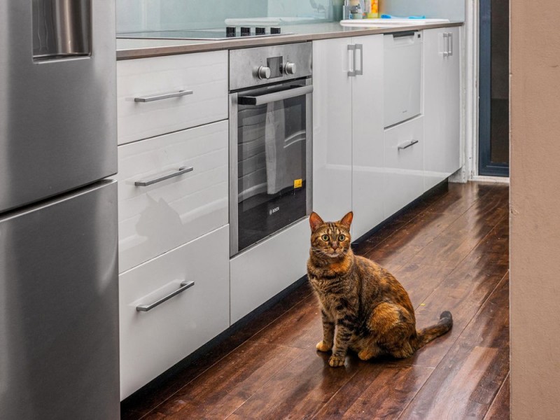 3/6 Riverview Terrace, Hamilton QLD 4007