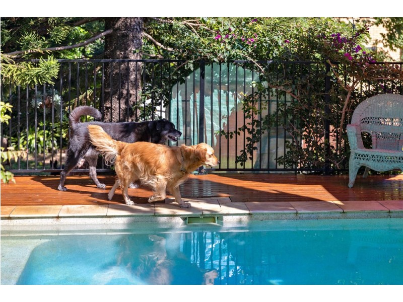 2 Chaplin Street, Stafford Heights QLD 4053