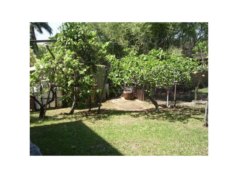 22 Spina Crescent, Carseldine QLD 4034