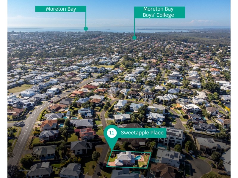 11 Sweetapple Place, Manly West QLD 4179