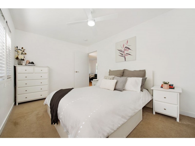 127 Plucks Road, Arana Hills QLD 4054