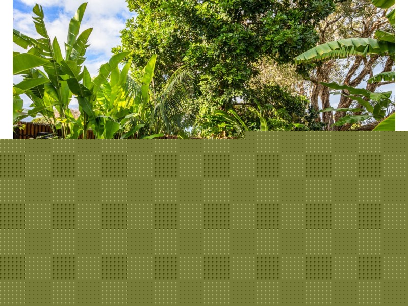 16 Seagull Avenue, Coolum Beach QLD 4573