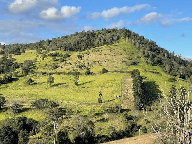 149 Coppermine Creek Road, Langshaw QLD 4570