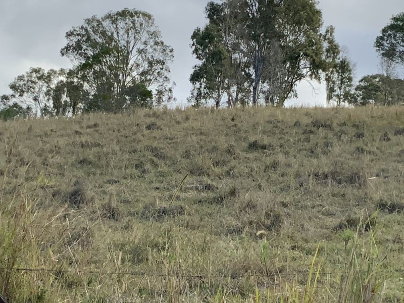 122 Coppermine Creek Rd, Langshaw QLD 4570