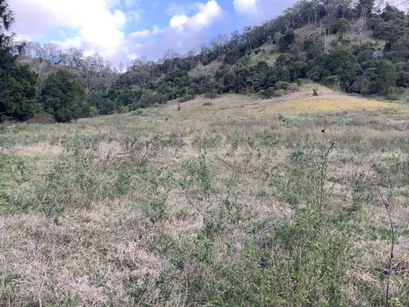 122 Coppermine Creek Rd, Langshaw QLD 4570