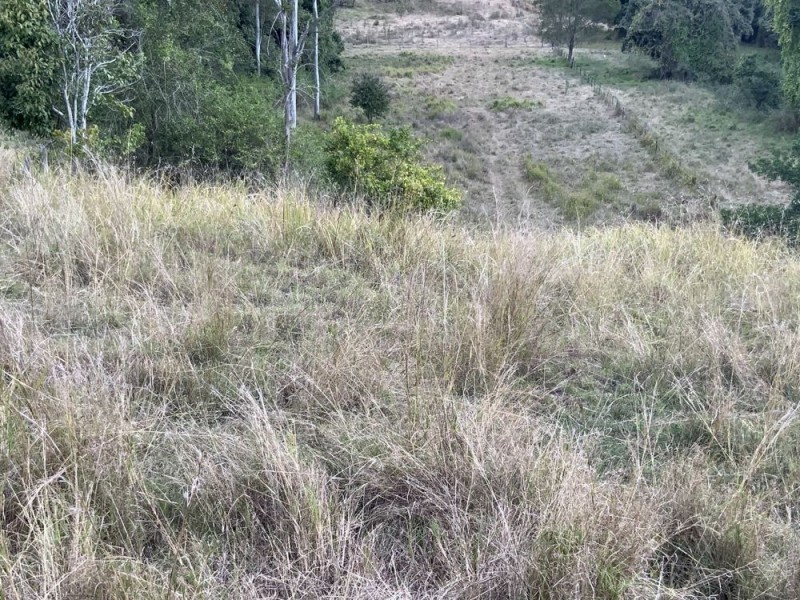 122 Coppermine Creek Rd, Langshaw QLD 4570