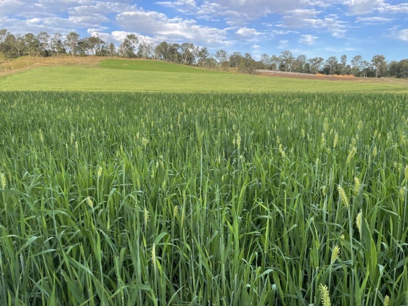 18 Calico Creek Road, Long Flat QLD 4570