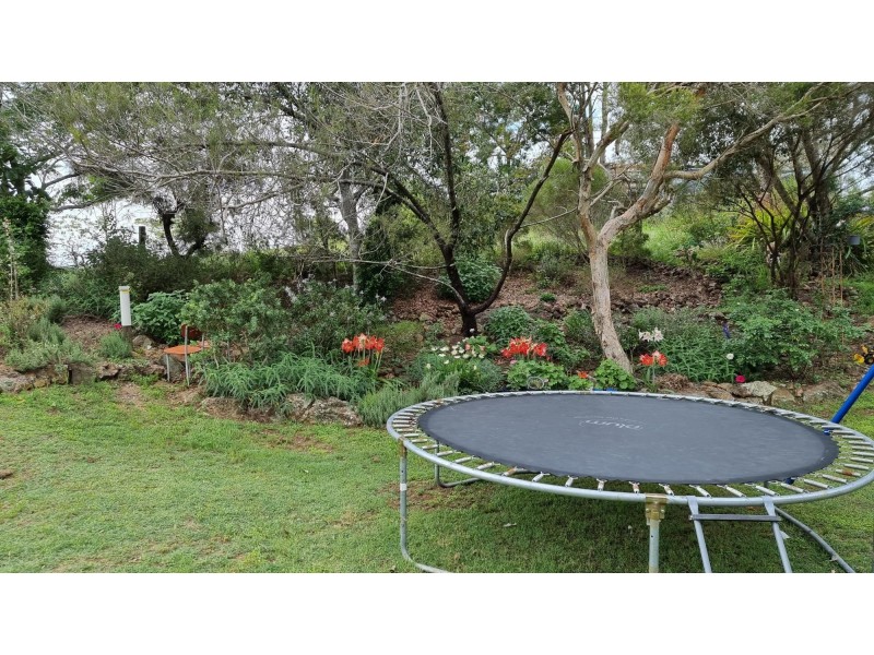 90 BOYLE ROAD, The Palms QLD 4570