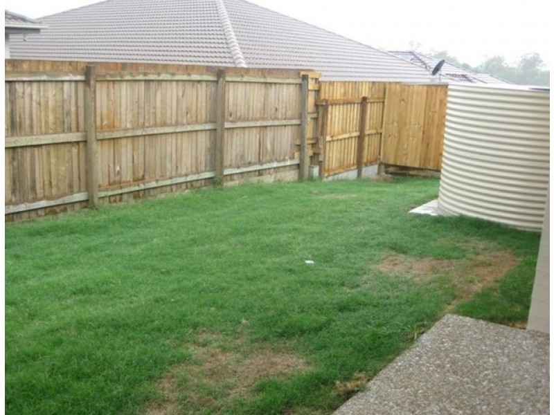 19 Anesbury St, Doolandella QLD 4077