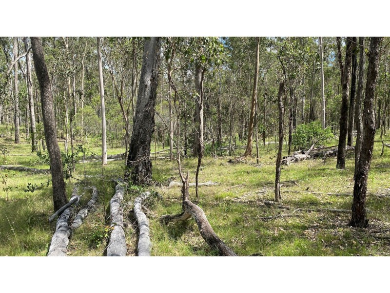 204 Little Widgee Road, Widgee QLD 4570