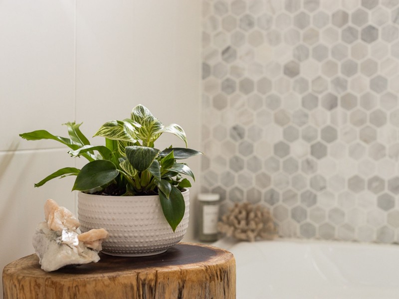 23 McAdam Street, Everton Park QLD 4053