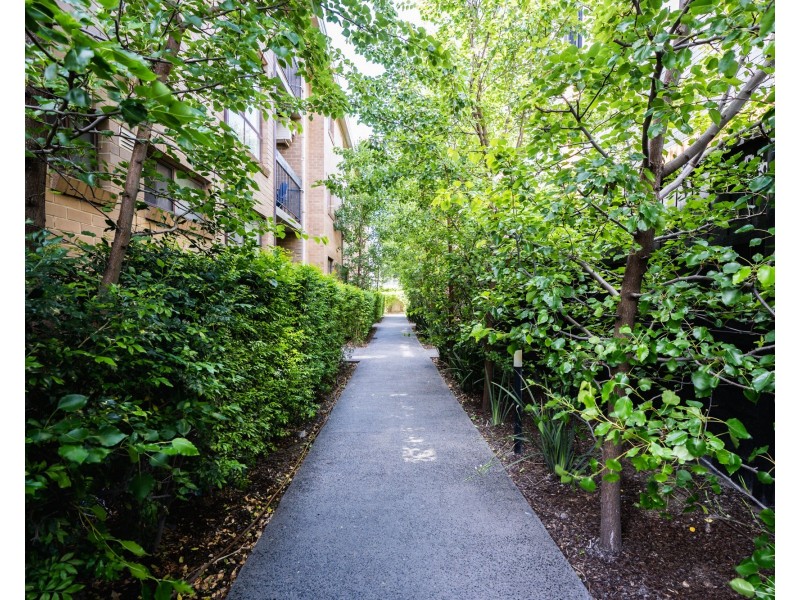 1/247 Riversdale Road, Hawthorn East VIC 3123