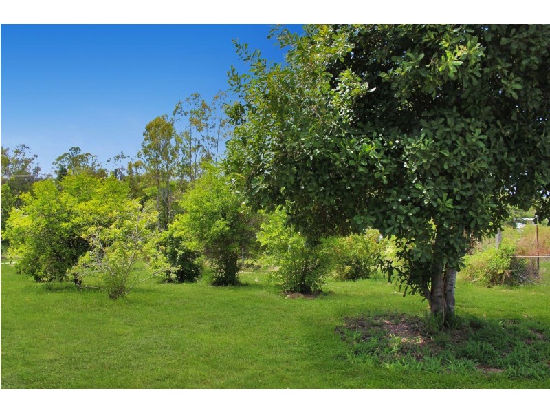 37 Storey Street, Redbank Plains QLD 4301