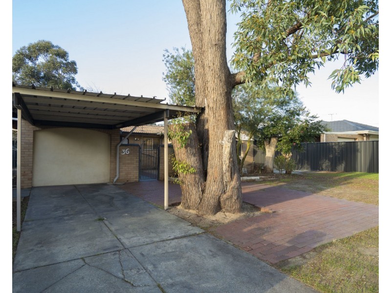 36 Terence Street, Gosnells WA 6110