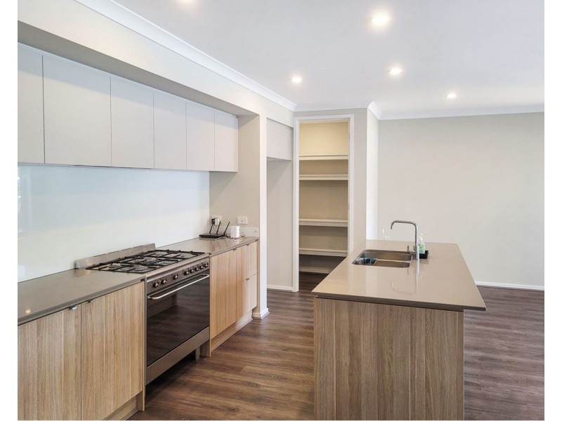 65 Applecross Cct, Spring Mountain QLD 4124