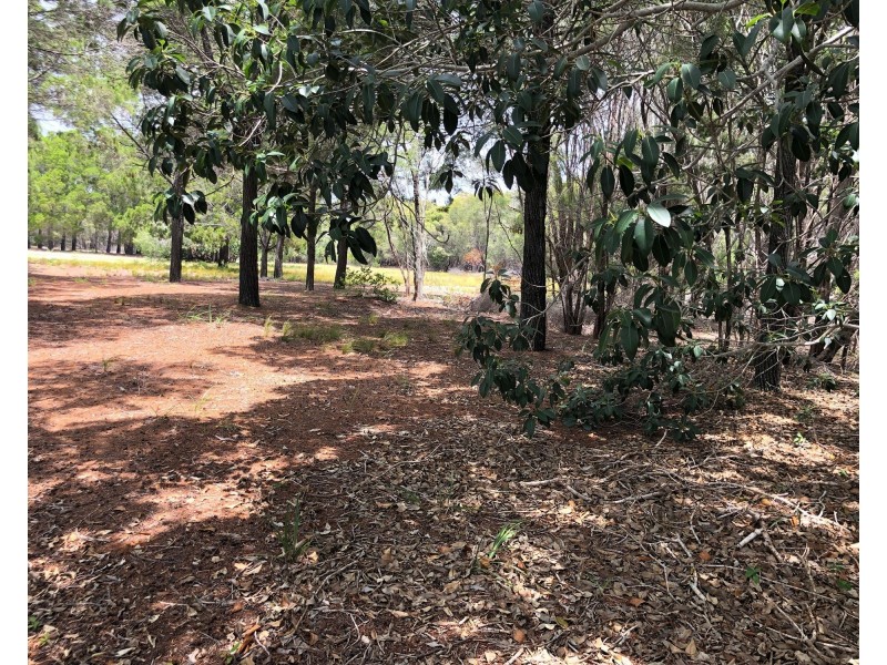 428 Woppis Road, Woodgate QLD 4660