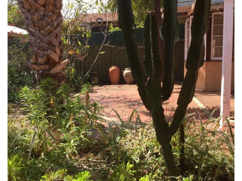 14 Cutts Street, Hamilton Hill WA 6163