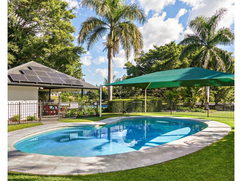 5/49 Colac Street, Kedron QLD 4031