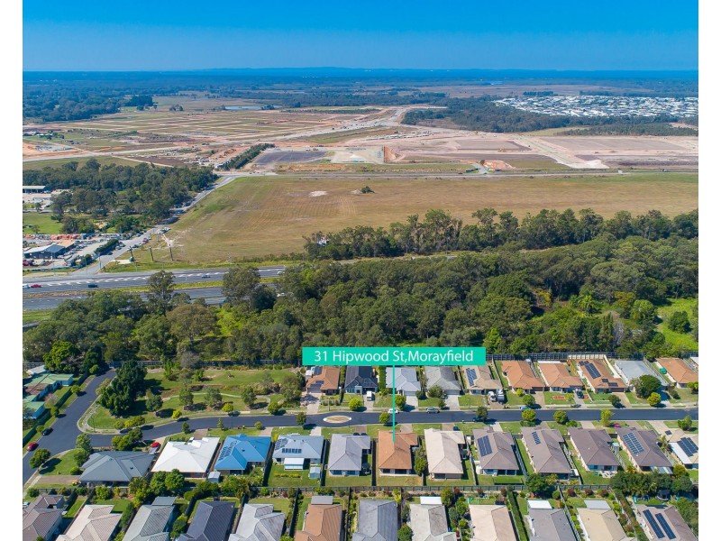 31 Hipwood Street, Morayfield QLD 4506
