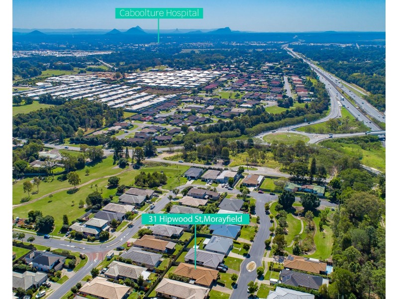 31 Hipwood Street, Morayfield QLD 4506