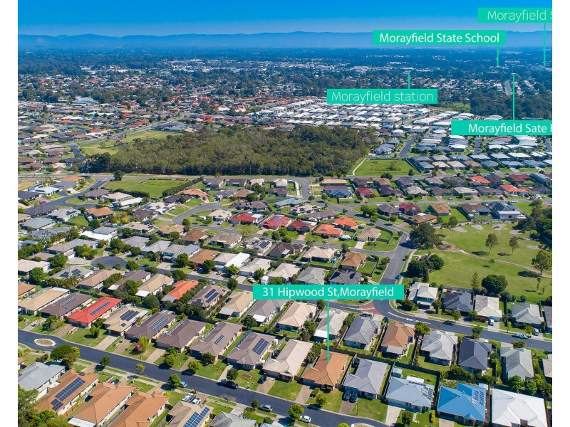 31 Hipwood Street, Morayfield QLD 4506