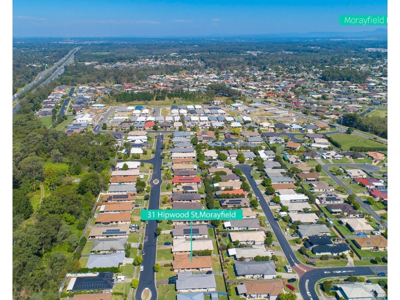 31 Hipwood Street, Morayfield QLD 4506