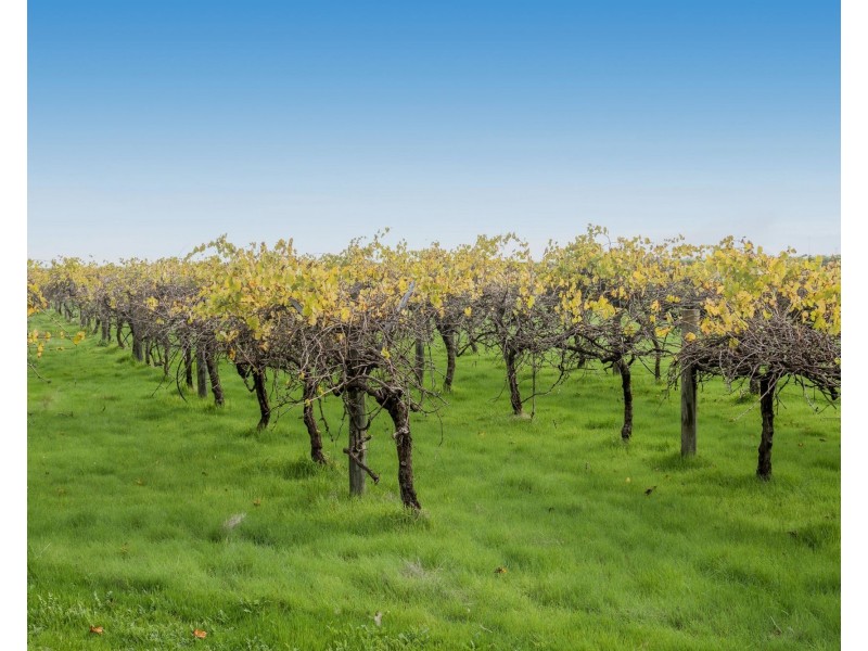 3 summerville boulevard, Caversham WA 6055