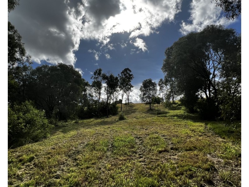 17 Boyle Road, The Palms QLD 4570