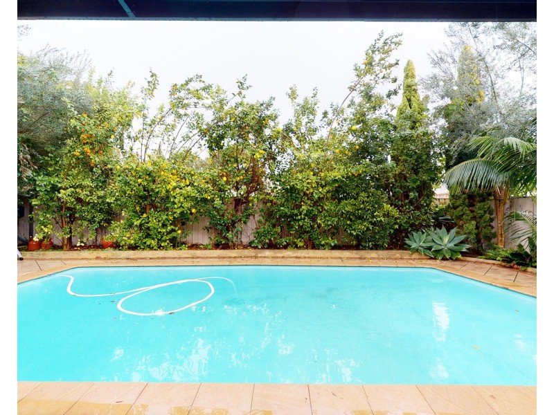 35 Napier Street, Nedlands WA 6009