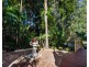 16 Janderra Street, Buderim QLD 4556