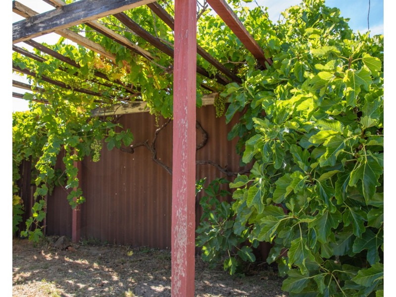 52 Kingston way, Safety Bay WA 6169