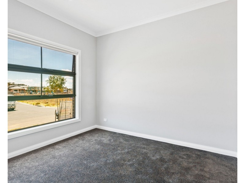 17 Gracilis Street, Cobbitty NSW 2570