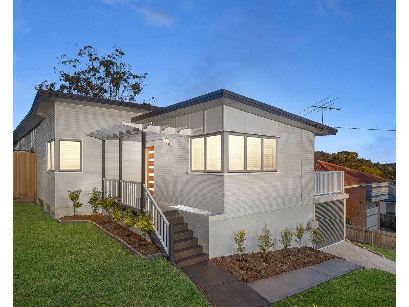 65 Pikeson Street, Everton Park QLD 4053