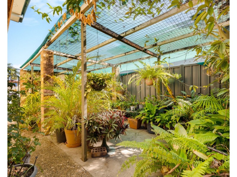 51 Rinnicrew Street, Bracken Ridge QLD 4017