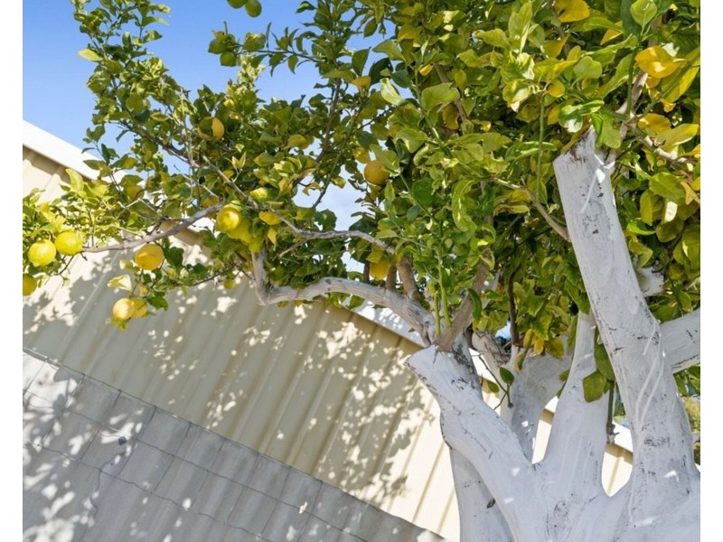 10 Cederdale Way, Safety Bay WA 6169