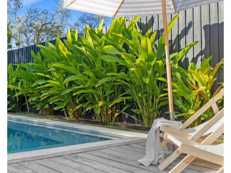 3 First Avenue, Marcoola QLD 4564